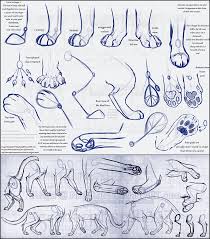Fancy Feline Feet Tutorial Reload Cat Drawing Tutorial Paw Drawing Animal Drawings
