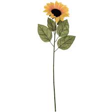 Sunflower kitchen decor and accessories can bring a bright sunshine look into your home. Yellow Sunflower Stem Hobby Lobby 619668