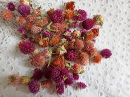 Culinary events & classes · entertaining inspiration Mini Flowers For Resinreal Pressed Plantsscrapbooking Etsy In 2021 Diy Resin Flowers Resin Supplies Resin Jewelry