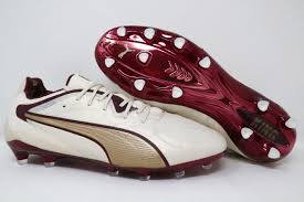 Image result for Puma 20