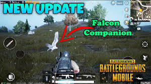 It featured the royale pass season 10 along with some other additions and a few changes. Pubg Mobile Falcon Companion Gameplay New Update Youtube
