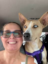 Found phone from last night's event