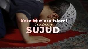 Tata cara sholat tahajud lengkap beserta niat sholat tahajud, doa sholat tahajud, bacaan sholat tahajud dan waktu sholat tahajud yang benar dan apabila anda mau bangun ketika setelah selesai berbaring, maka dapat menambahkan ta' tepat didepan kata tersebut, sehingga menjadi tahajada. 28 Kata Mutiara Islam Tentang Sujud Kepada Allah