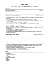 principal consultant resume examples