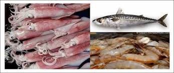 Jangan terlalu banyak diaduk agar ndak alot. Pembuatan Siomay Ikan Lalaukan