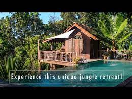 (83 found, 41 reviews) looking for a hotel in negeri sembilan? The Dusun A Unique Rainforest Resort In Malaysia You Should Experience Youtube