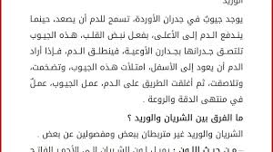 الفرق بين الشريان والوريد بالصور Youtube
