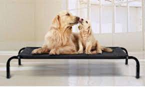 Se invece quello che cerchi è un brandina per cane taglia grande un prodotto che ti consenta di risparmiare puoi scegliere bedsure cuscino per cani grandi. Le Migliori Brandine Per Cani 2020 Pinodog
