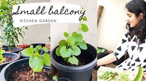 Small Balcony Garden Vegetables You Must Grow Youtube Small Balcony Garden Vegetable Garden Design Balcony Garden