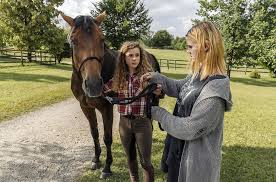 Reiterhof wildenstein ist eine filmreihe der ard aus dem jahr 2019 mit den hauptdarstellern klara deutschmann, shenja lacher, ulli maier. Agentur Kokon News