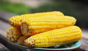 We did not find results for: Rahasia Khasiat Mengonsumsi Jagung Rebus Bagi Kesehatan Radar Pekalongan Online