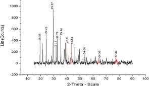Image result for Pechuel-Loeschea leubnitziae