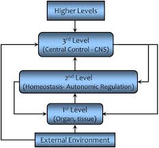 Frontiers Homeostasis The Underappreciated And Far Too Often Ignored Central Organizing Principle Of Physiology Physiology