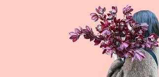 We offer same day auckland delivery. Flower Delivery Auckland Florists Auckland The Wild Bunch
