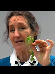 we are removing inactive members from the group, say anything to stay  active.** Cream Cheese & Bacon Stufted Doritos Chicken✨️ Ingredients 4  boneless, skinless chicken breasts Salt and pepper, to taste 4