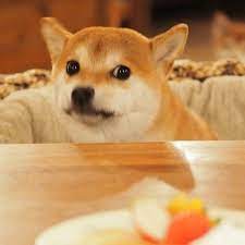 Doge 1080x1080 gamerpics images, similar and related articles aggregated throughout the internet. Bant International Random Thread 8947901