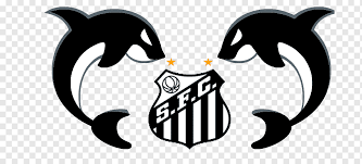 A virtual museum of sports logos, uniforms and historical items. Santos Fc Ct Rei Pele Esporte Clube Vitoria Meninos Da Vila Unidade Ponta Da Praia Ii Santos Cat Like Mammal Sport Logo Png Pngwing