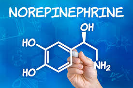Image result for Norepinephrine