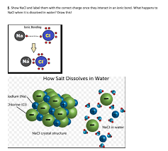 Sodium chloride /ˌsoʊdiəm ˈklɔːraɪd/, commonly known as salt (although sea salt also contains other chemical salts), is an ionic compound with the chemical formula nacl. Solved 5 Show Nacl And Label Them With The Correct Charg Chegg Com