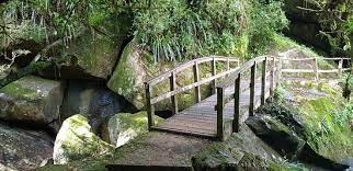Discover itatiaia with the help of your friends. Itatiaia National Park Photos Featured Images Of Itatiaia National Park Rj Tripadvisor