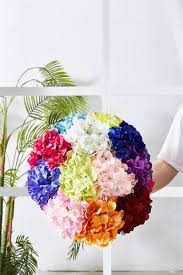 We did not find results for: Buy Kislohum Hydrangea Silk Flowers Heads With 10 Stems Burgundy Artificial Hydrangea Flower Head For Wedding Centerpieces Bouquets Diy Floral Decor Home Decoration Online In Turkey B07rrn6n5t