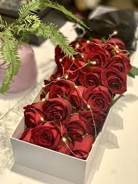 Located an hours drive southwest of rapid city, and a 10 minute drive from custer state park, is one. 24 Red Roses Gamers Smart