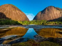 Image result for Afroqueta