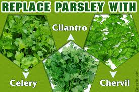 The twain shall ne'er ok, sometimes i use 100% parsley but it depends on the food and my mood. Alternative To Coriander Leaves Corian House
