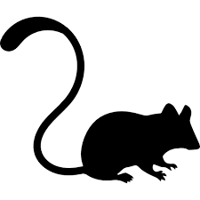 Mouse Free Vector Icons Designed By Freepik Vector Icon Design Free Icons Animal Icon