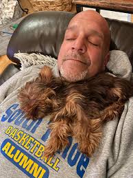 Our little one just turned 5 months old—a tiny teacup chocolate Yorkie  named Chewie (short for Chewbacca). He's 2 lbs of pure joy, loves car  rides, playing, and going