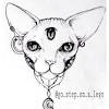 By christina papagianni cat drawing by michelle digital cat painting. 1