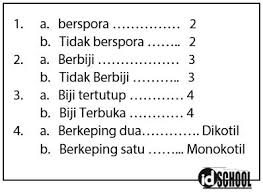 We have almost everything on ebay. Soal Prosedur Pengklasifikasian Makhluk Hidup Idschool