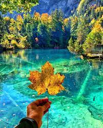 Blausee Switzerland Forest Lake Wonderful Places Fall Getaways
