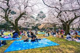 Capítulo xxii, xxiii e xxvi em forma de filme do livro de machado de assis. 2021 Japan Cherry Blossom Forecast Jrailpass