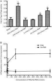 It is the policy of the ilwu and pma to combat chemical dependency through the alcoholism/drug recovery program (adrp) by publicizing the treatment available, by developing educational programs, and urging longshoremen with the problem to seek treatment for it. Phorbol 12 Myristate 13 Acetate Inhibits P Glycoprotein Mediated Efflux Of Digoxin In Mdckii Mdr1 And Caco 2 Cell Monolayer Models Acta Pharmacologica Sinica