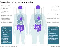 In a normal year, more than 80 broadcast organisations are on site. The When Of Eating The Science Behind Intermittent Fasting