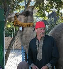 Australia also has a much. Camels Victoria Home Facebook
