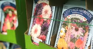 You can purchase flower seeds at nook's cranny for 240 bells. Get Ready For Spring At Dollar Tree Grab 25 Flower Seed Packets 1 Planters Tools More Hip2save