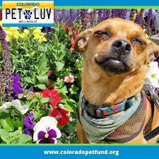 Maybe you would like to learn more about one of these? Colorado Pet Overpopulation Fund Copetfund Twitter