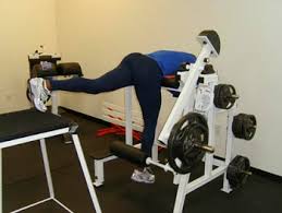 Reverse hyperextensions are an effective accessory exercise to develop the glutes and hamstrings. Back Extensions Reverse Hypers Bret Contreras
