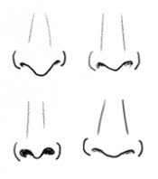 In a simple way this tutorial takes a basic look at the nose. How To Draw A Nose And The Face Drawing Tutorials Drawing How To Draw Noses With Nose Drawing Lessons Step By Step Techniques