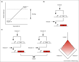 You select the format by its radix. A Digital Versus Analog Computation Digital Logic Uses The Extremes Download Scientific Diagram