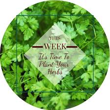 We did not find results for: Perricone Garden Center Nursery Startseite Facebook
