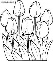 Gambar bunga bakung cara budidaya bunga lily beserta dengan gambarnya bunga lily adalah salah satu yah setidaknya gambar asli dari bunga lily atau bakung tersebut ibu bapak perlihatkan dan coba coba bijak bunga bakung. Contoh Gambar Mewarnai Gambar Bunga Lili Kataucap