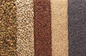 Edible Seeds Chia Hemp Flax Pumpkin Sesame Nigella Time