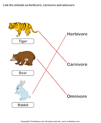 Food Chain Worksheet 1 Turtlediary Com Food Chain Worksheet Science Worksheets Carnivores Herbivores Omnivores