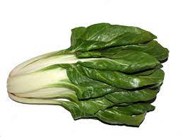 Мангольд (beta vulgaris cicea lin., синонимы: Mangold Mehr Als Ein Spinat Ersatz Im Sommer Industrieverband Agrar
