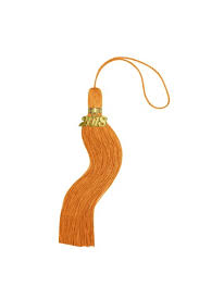 Orange Jumbo Tassel Elementary Accessories Graduation World