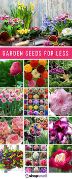 Garden For Less 18 Insanely Cheap Flower Seeds That Get Rave Reviews Shopswell Flower Seeds Garden Seeds Flower Garden