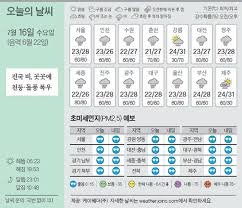 네이트 뉴스 - News update